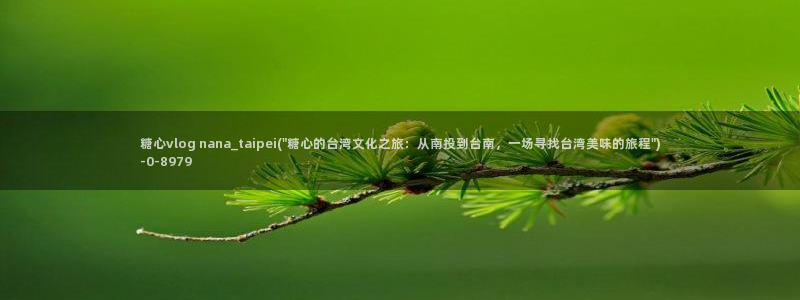 糖心vlog网