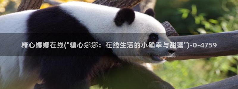 糖心唐伯虎vlog