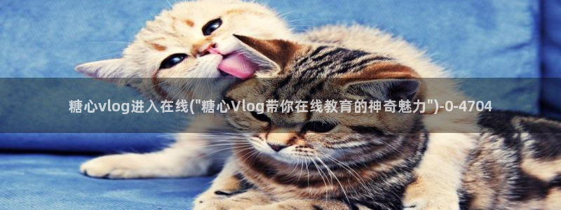 糖心vlog怎么加入