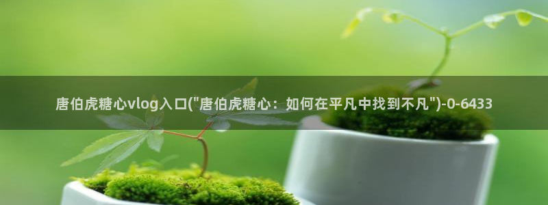 糖心vlog入口网址