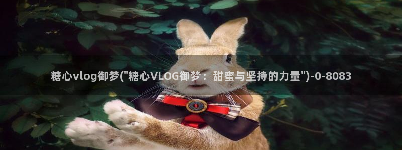 糖心vlog 免费观看