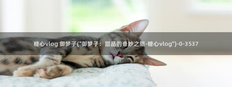 糖心vlog在线看