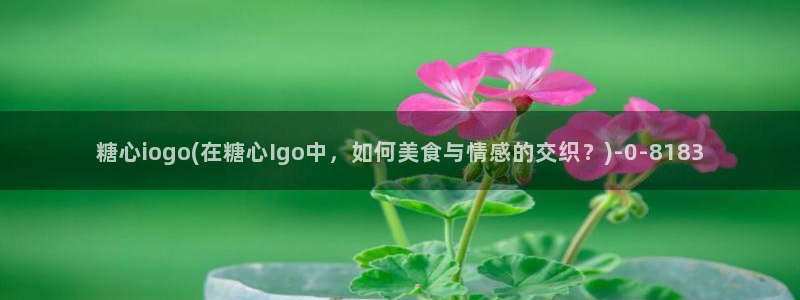 正版糖心vlog
