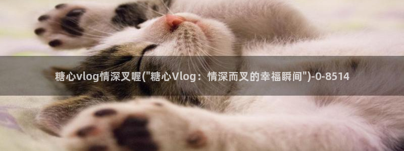 糖心vlog视频下载