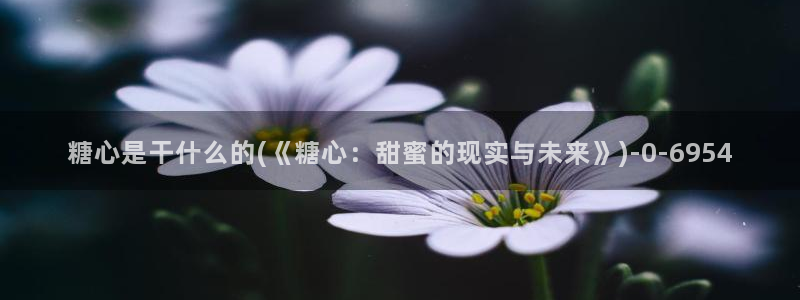 糖心vlog官网：糖心是干什么的(《糖心：甜蜜的现实与未来》