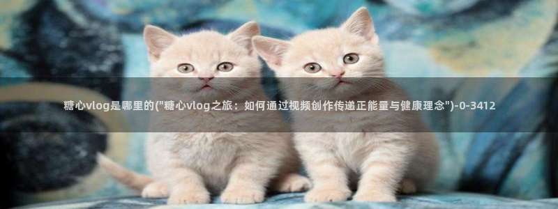 糖心vlog网站版：糖心vlog是哪里的(\
