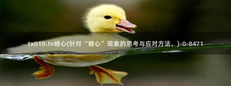糖心糖心vlog