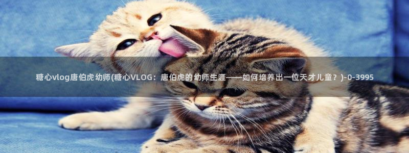 糖心少女vlog免费桐桐的生日