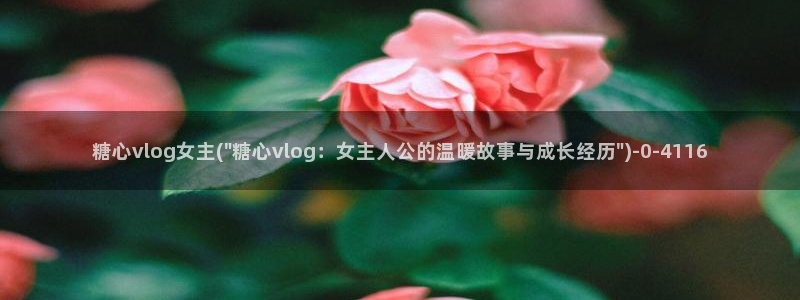 糖心vlog在线播放