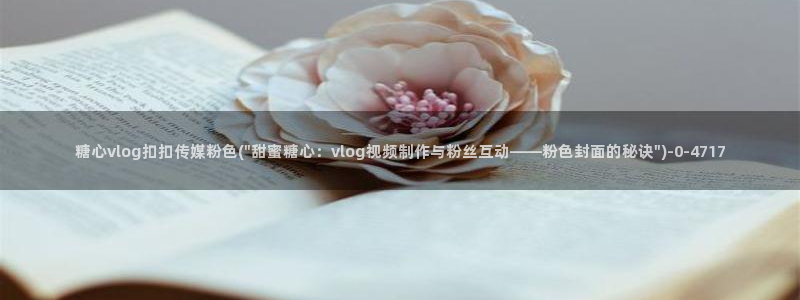 糖心vlog无限次数：糖心vlog扣扣传媒粉色(\