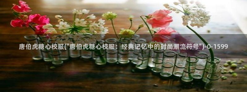 心糖vlog免费下载