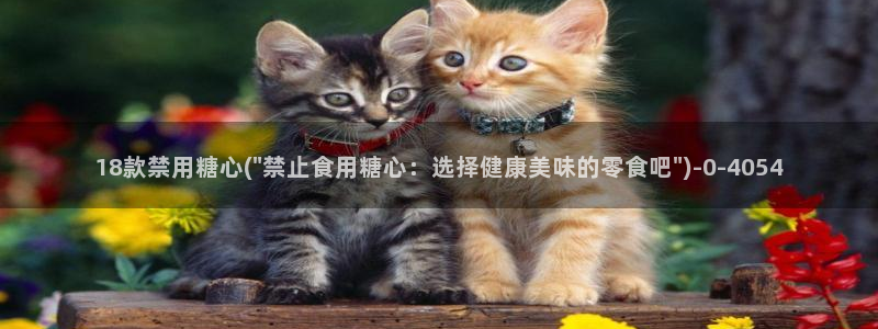 糖心vlog网站版